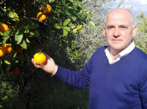 Salvatore Rapisarda: «Agrumicoltura in Sicilia, siamo alla frutta» Rapisarda