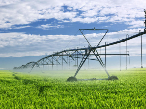 irrigazione