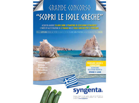 In Grecia con lo zucchino di Syngenta zucchino concorso syngenta