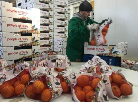 Agrumi, partiti i primi tir col brand “People of Sicily”