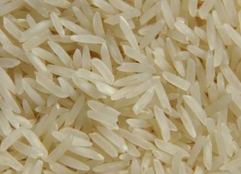 Riso Basmati, «Stop ad ulteriori concessioni all’India»