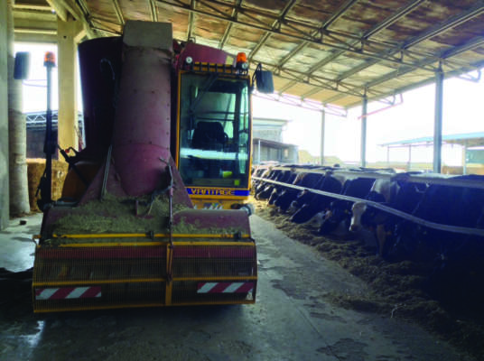 contoterzismo siciliano