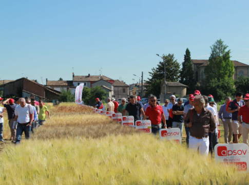 giornate aperte apsov 2018