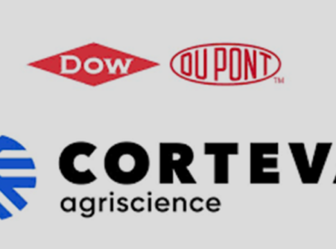 Nasce Corteva Agriscience corteva agriscience