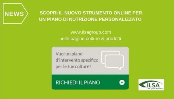 piano di intervento personalizzato online ilsa