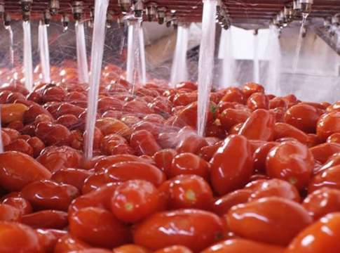 Pelati, polpe e passata trainano l’export anche nel 2017