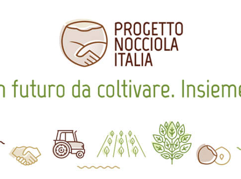 Nocciole, un’opportunità per la diversificazione agricola dell’Emilia-Romagna Progetto Nocciola Italia | Ferrero HCo