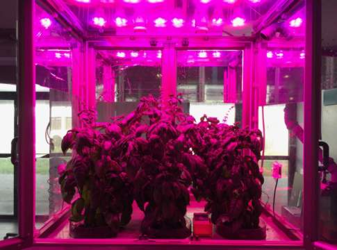 Un microcosmo “a doppio stadio” per coltivare al chiuso e nello spazio microcosmo