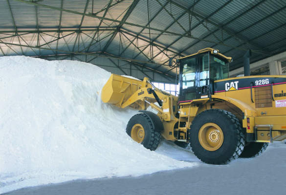 stabilimento pavoni & c