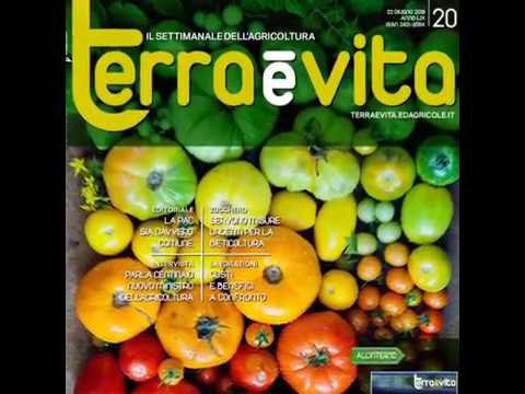 terra e vita 20