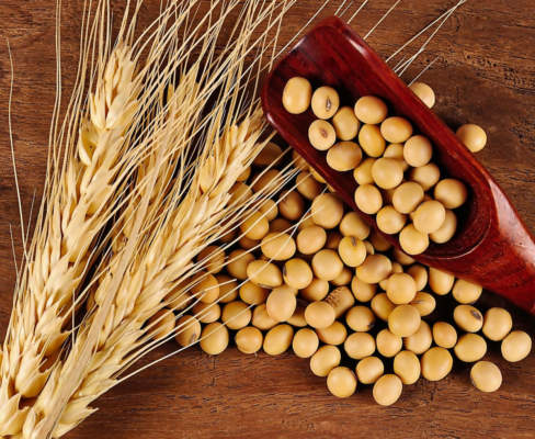 prezzi dei cereali, orzo e soia