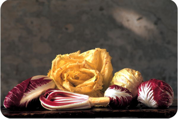 radicchio