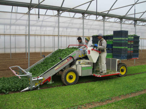 Una falciaraccoglitrice a impatto zero falciaraccoglitrice de pietri