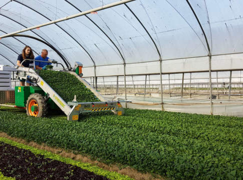 Le ultime nate in casa Ortomec raccoglitrice 8400 di ortomec