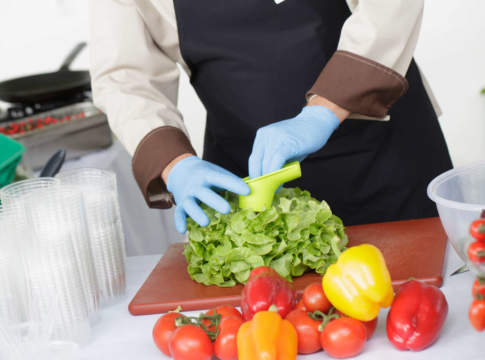 soluzioni innovative rijk zwaan lattuga salanova