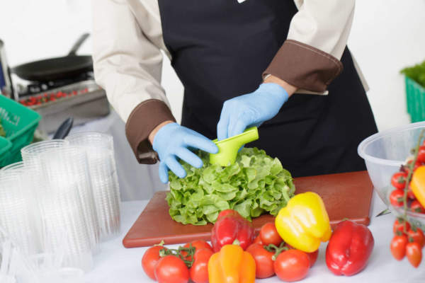 soluzioni innovative rijk zwaan lattuga salanova