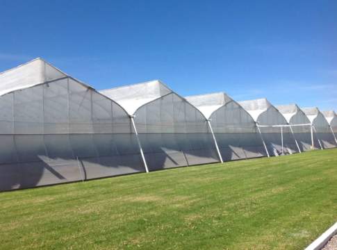 Schermi protettivi per le colture le quattro proposte di Arrigoni schermi protettivi