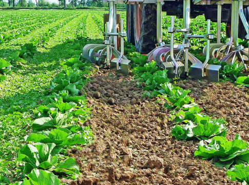 Sarchiatrice Rotosark, un successo confermato rotosark