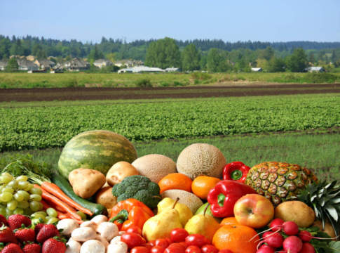 Ortofrutta, pioggia di segni meno tranne che per i pomodori pomodori