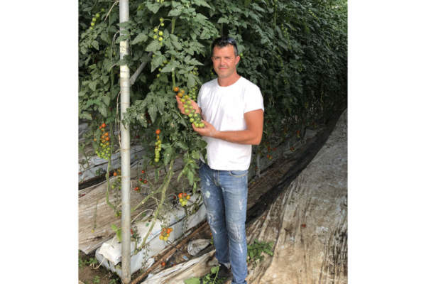 pomodori della green valley paolo lo monaco