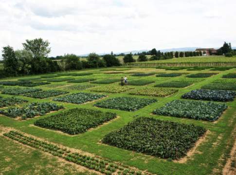 Biologico e ambiente, in Emilia-Romagna 10 milioni in 4 bandi biologico