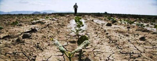 siccità
