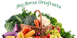 anguria e ortofrutta bio