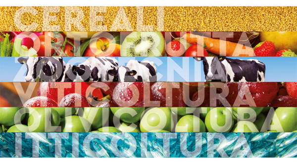 La filiera agroalimentare al centro della nuova strategia per il Made in Italy