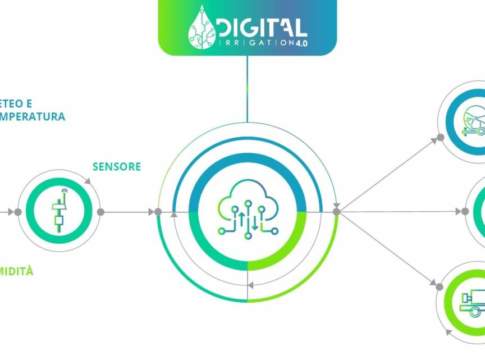 irrigazione