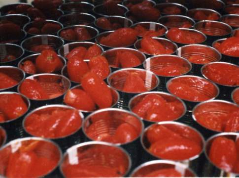 Tra Puglia e Campania scoppia la guerra per il pomodoro pelato pomodoro