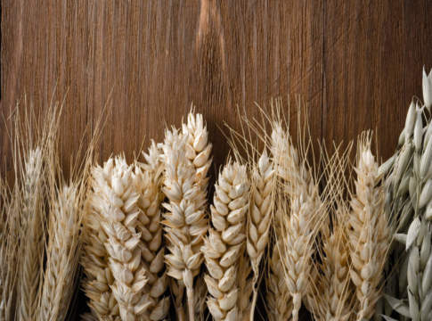 Grani e foraggi stabili, ancora in calo il mais, primi valori per la soia nazionale prezzi dei cereali 1 ottobre 2018