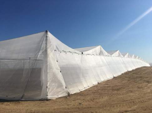 net-house, rete anti insetto di arrigoni