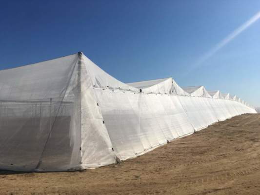 net-house, rete anti insetto di arrigoni