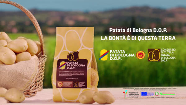 patata di bologna dop