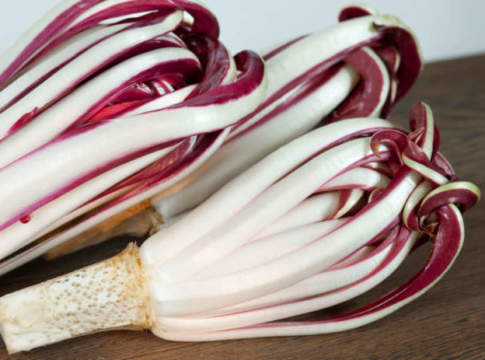 radicchio