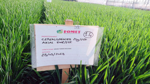 cerealsprinter di fomet