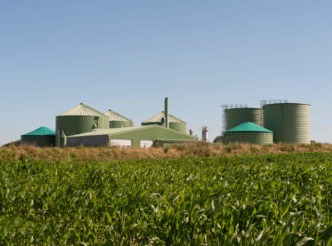 Zucchero e biometano, filiera contro la crisi energetica bioenergie