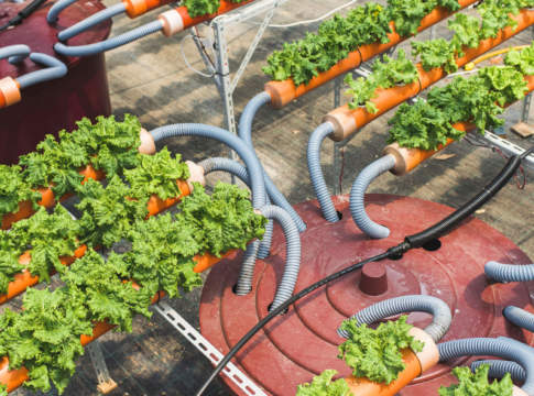 agricoltura circolare