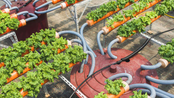 agricoltura circolare