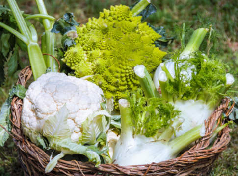 I danni da freddo spingono in alto i prezzi di cavolfiori, finocchi e zucchine cavolfiore