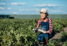 Al Sud Italia boom di aziende agricole condotte da donne imprenditoria femminile