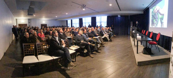 confusione sessuale 2.0