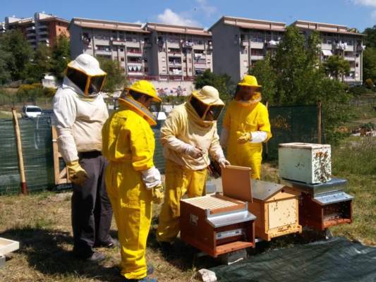 progetto api e orti urbani