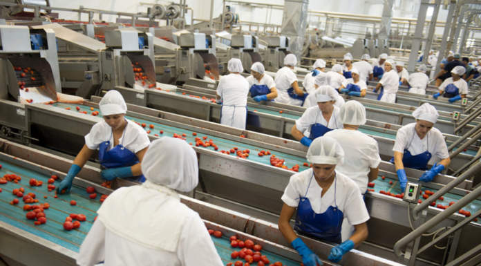 agroindustria
