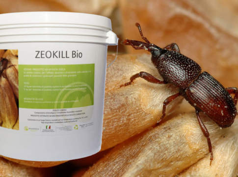 zeokill bio