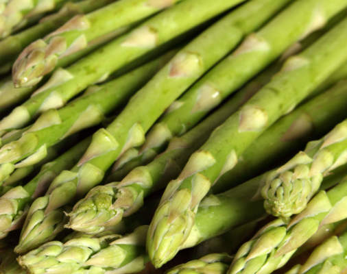asparagi