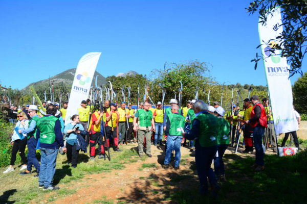 nova agricoltura in oliveto 2019