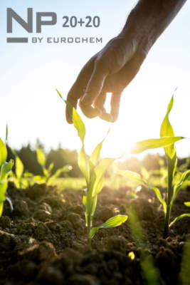 NP 20+20 di eurochme