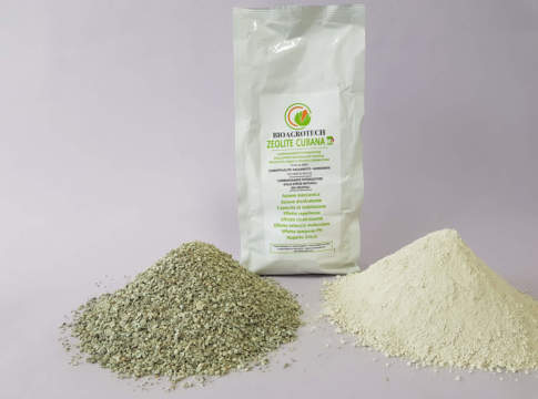 Zeolite Cubana, un nuovo alleato per frumento e kiwi zeolite cubana