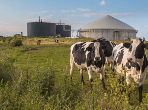 Caro energie, biogas e biometano sempre più strategici biogasfattobene